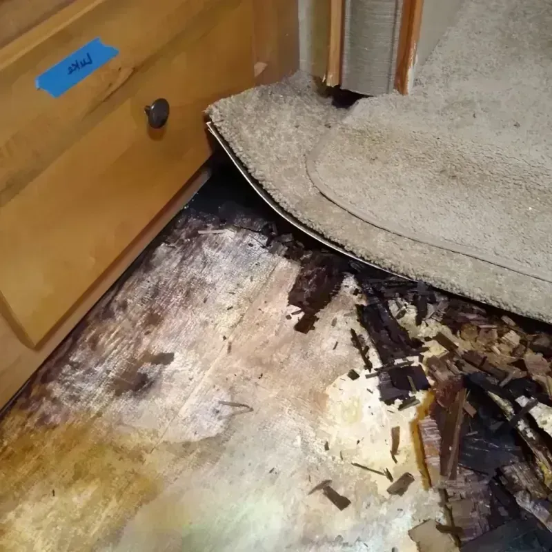 Wood Floor Water Damage in Mount Pleasant, UT